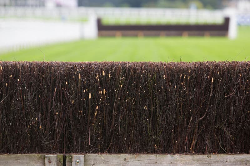 jumps racing fence