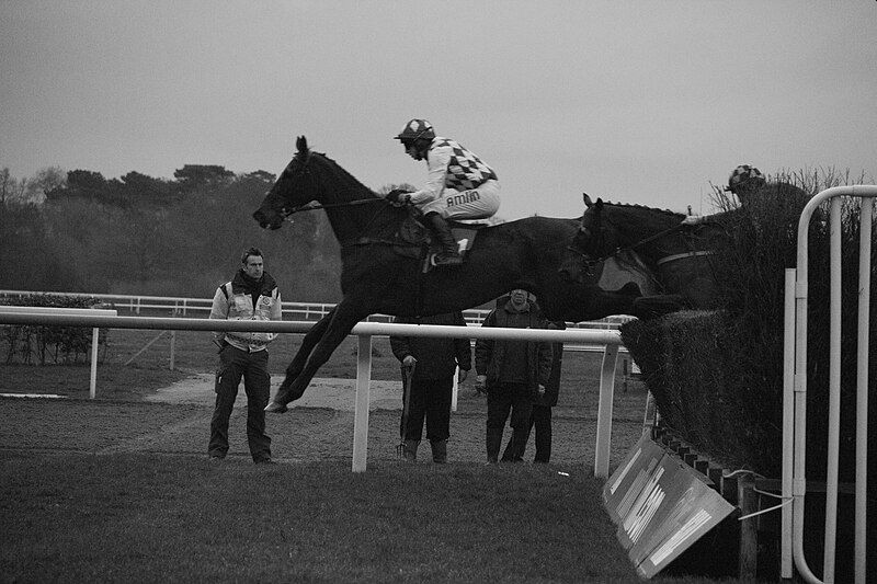 kempton park horse jumping fence